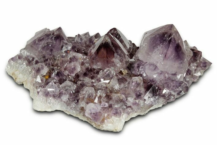 Deep-Purple Cactus Amethyst Crystal Cluster - South Africa #337607